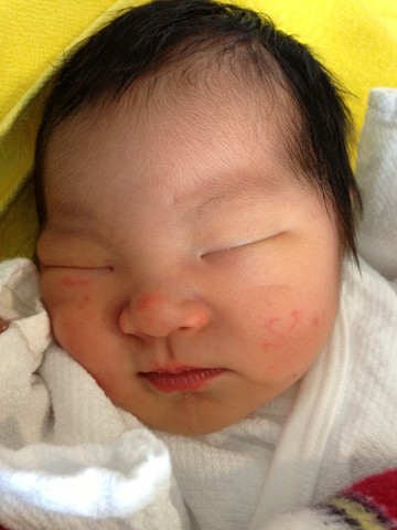 生後2日目 凛ちゃん育児記録 生後2日目 凛ちゃん育児記録