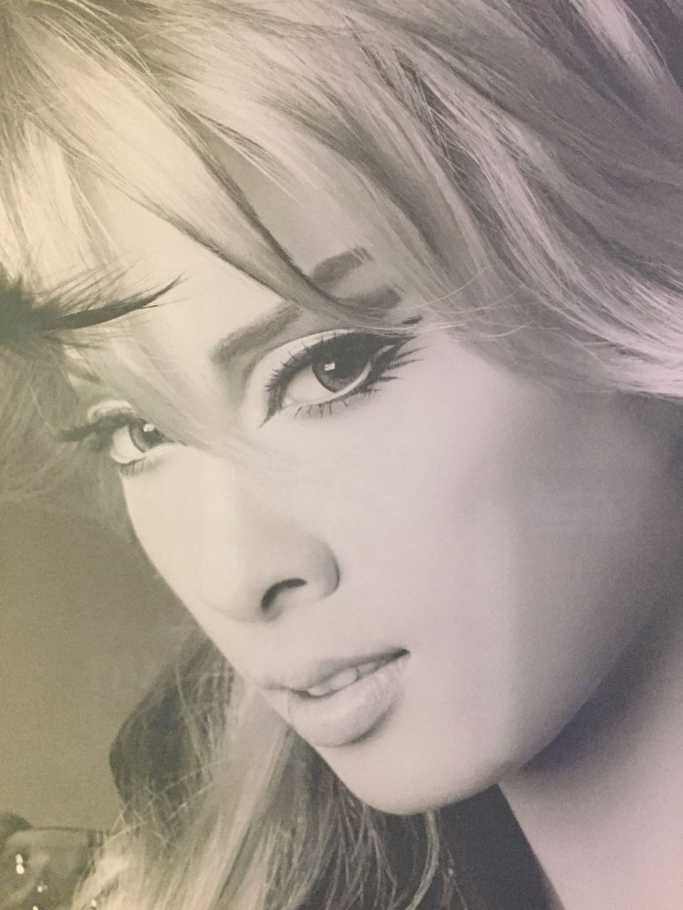 小池先生のラブコールからの妄想 明日海トート再び 5つの色のマカロン日記 小池先生のラブコールからの妄想 明日海トート再び 5つの色のマカロン日記