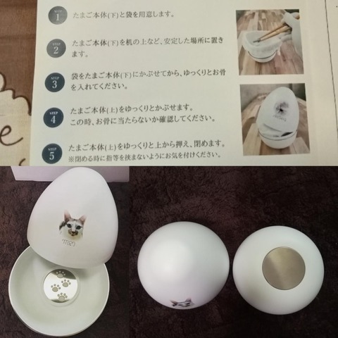 TENって素敵2