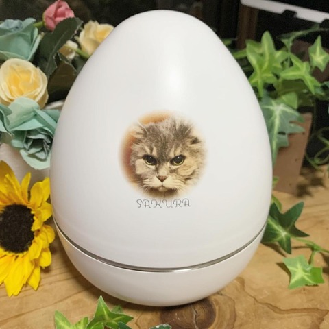 生前のように抱きしめてあげています♪3
