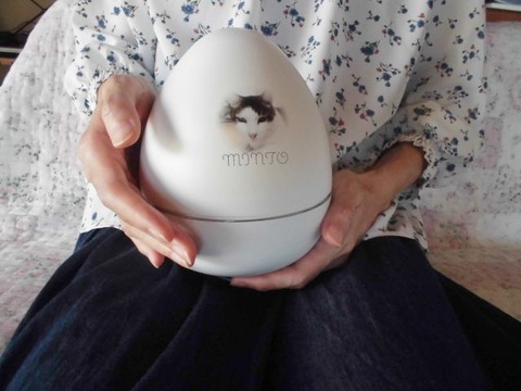 亡くなったペットを身近に感じられました!3