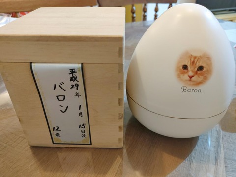 凛としておだやかに3