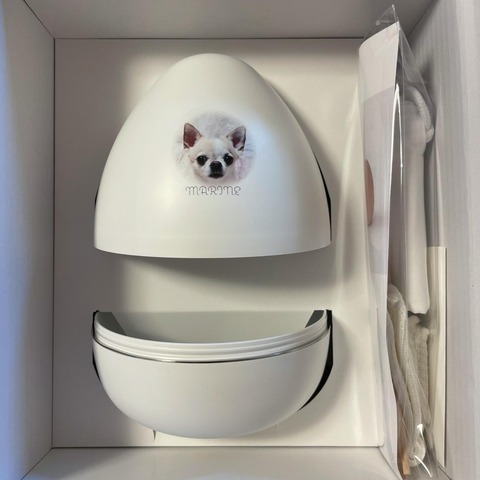 愛犬とはずっと一緒にいたいから。1