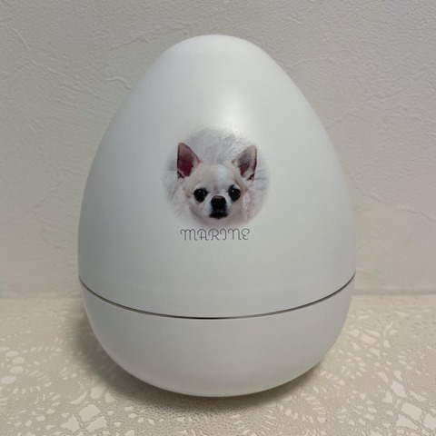 愛犬とはずっと一緒にいたいから。2