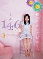 りん146cm