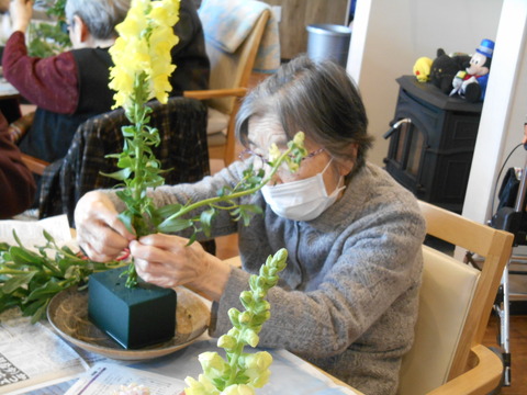 DSCN0133