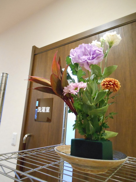 DSCN0206