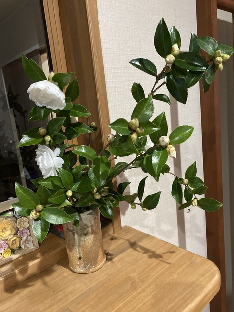 地域の小学校との交流 : 栗の木桃の木花りんの木