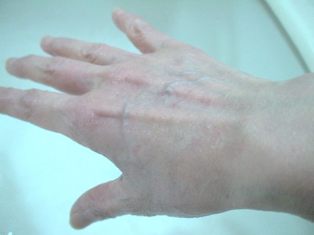 黒龍堂 薬効クリーム 黒龍 無香料 体験レポート 2 いつまでも若くありたい 黒龍堂 薬効クリーム 黒龍 無香料 体験レポート 2 いつまでも若くありたい