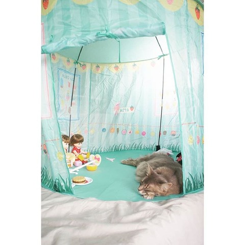 tent