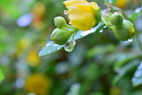 e18ab60654e54a24f44da1e4ad2570e7_s
