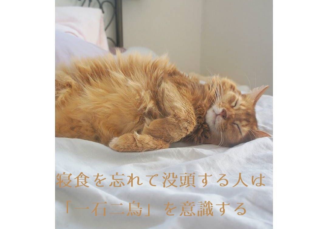 寝食