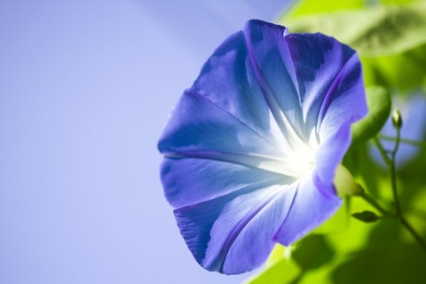 430f1ab9df30880a88dce7fc39290f17_s