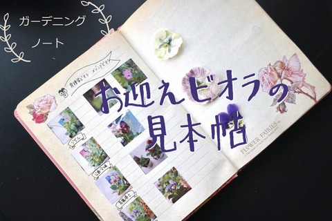 S__27156487 - あ