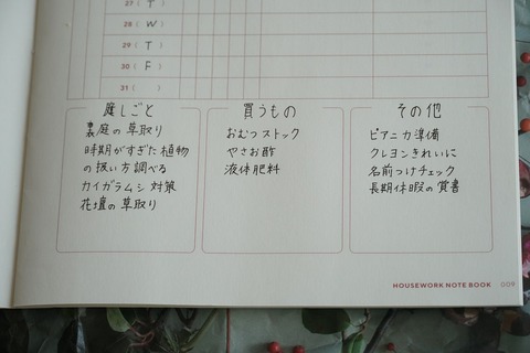 s-DSC05239