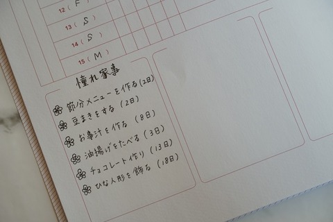 s-DSC04620