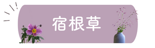 ボタン (1)