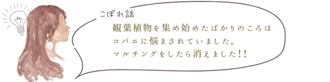 W_∞_ブログ_吹き出し_★★★★★★_ #編集用 #繰り返し #高頻度 #★★★★★★ (20)