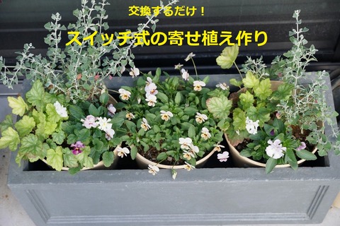 S__27541519