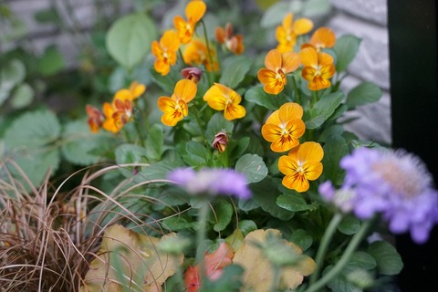 DSC06391