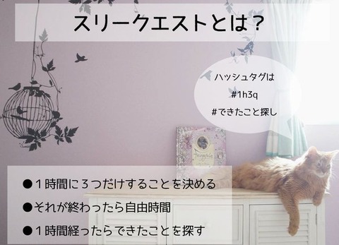 説明画像_スリークエストとは?
