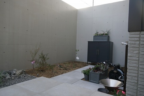 s-DSC07476