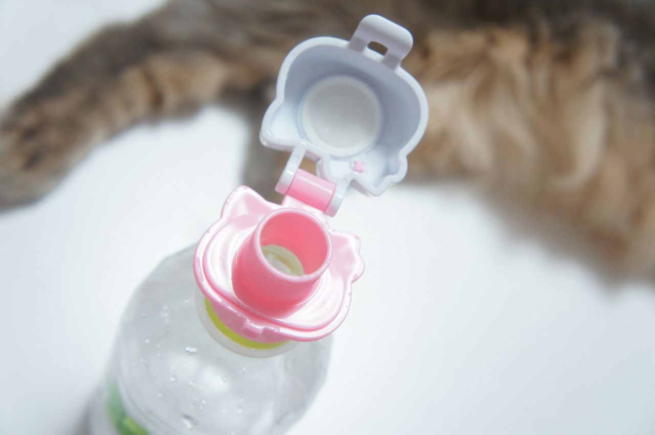 ダイソーのがぶ飲みできるペットボトルキャップ 365日のとっておき家事 Powered By ライブドアブログ