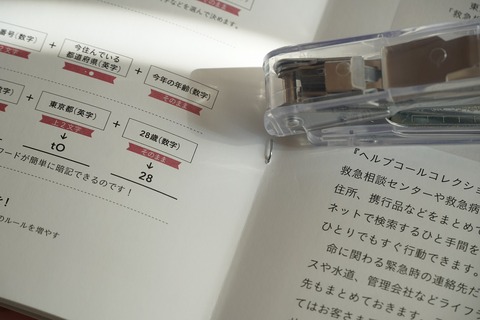 s-DSC04612