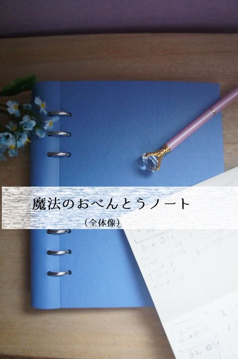 283b05c6-s