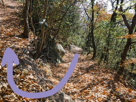名称未設定のデザイン (3)