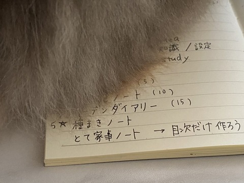 S__21184516