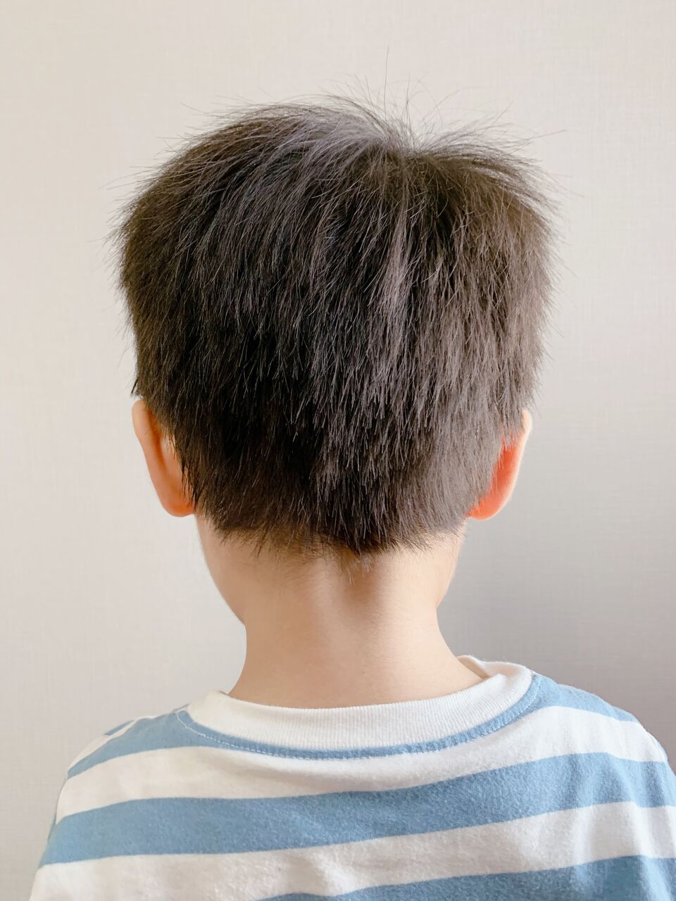 自宅で子供のヘアカット アタッチメント付きバリカンで安全 簡単 はんぽblog 自宅で子供のヘアカット アタッチメント付きバリカンで安全 簡単 はんぽblog