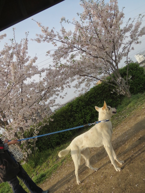 ４月９日