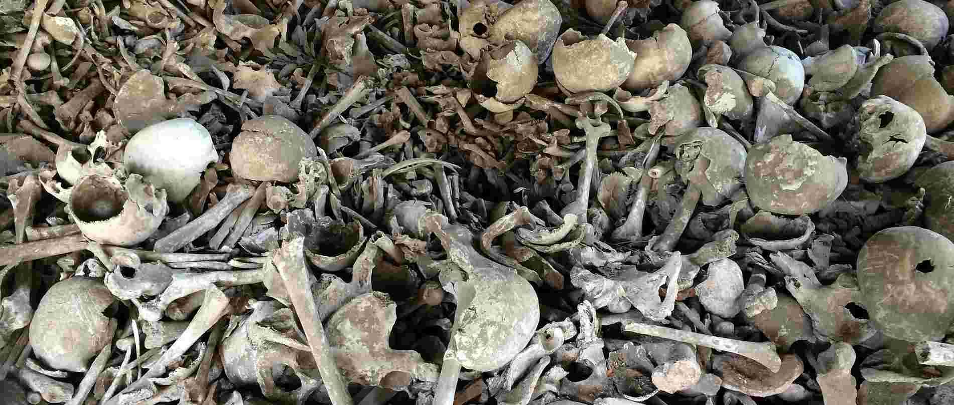 優れた画像食品 ひどい タコ 部屋 北海道