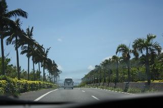 IMG_7524_resize1