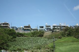 IMG_7526_resize1