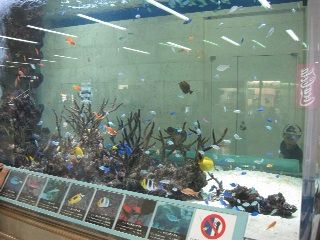 IMG_1584_resize1