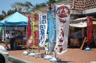 IMG_7527_resize1