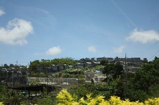 IMG_7525_resize1