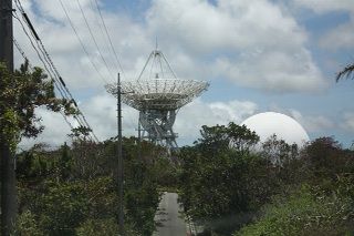 IMG_7541_resize1