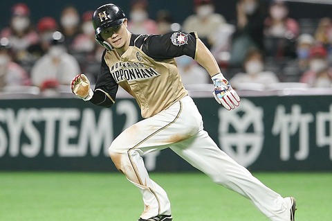 img_b2827e04ec6f6f3d5d46c631e231e7c3402005