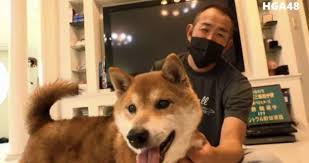 ダウンロード