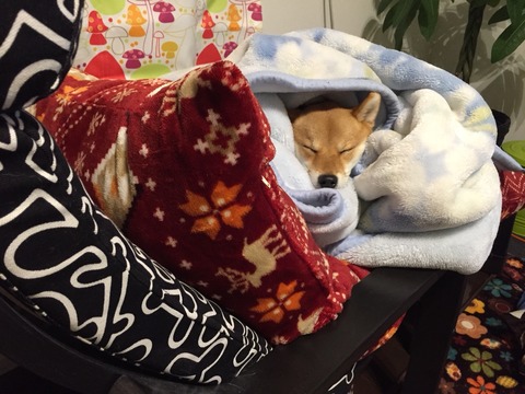 2015-12-26-17-53-17