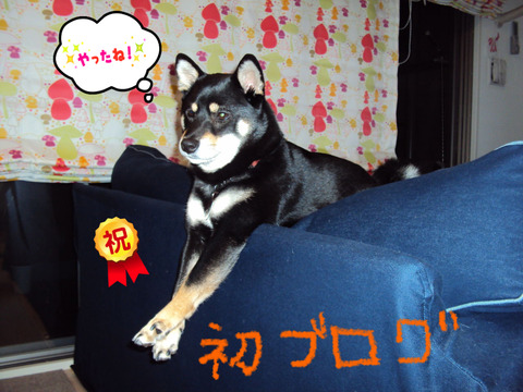 BlogPaint