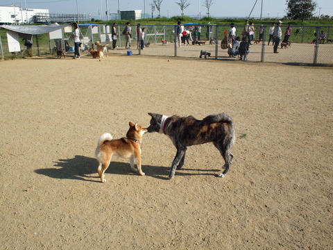 P5040987