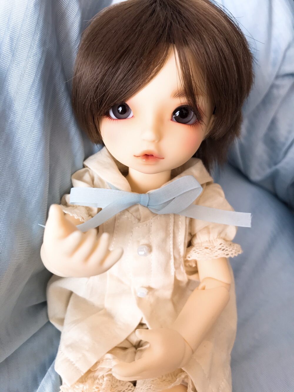 幼SDダイ お迎え|Nerine