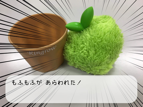 加工済み