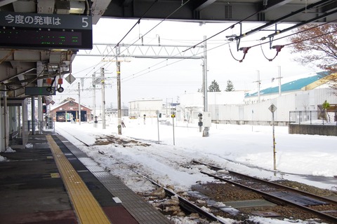 IMGP5897