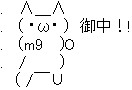 5435254
