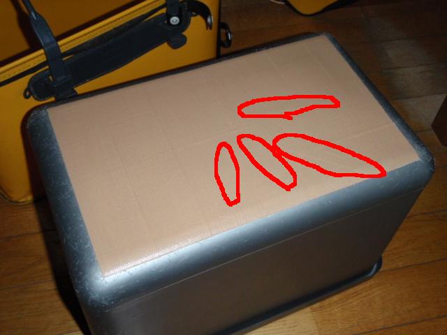 イメージ 5